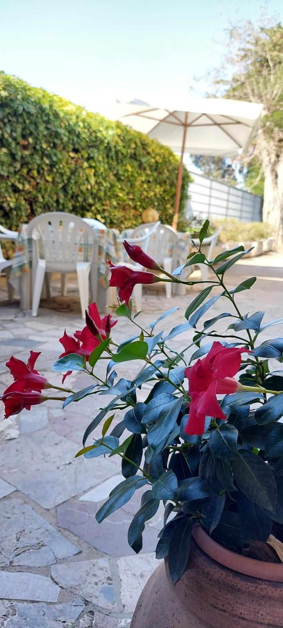 Hotel Lea Гросето Екстериор снимка